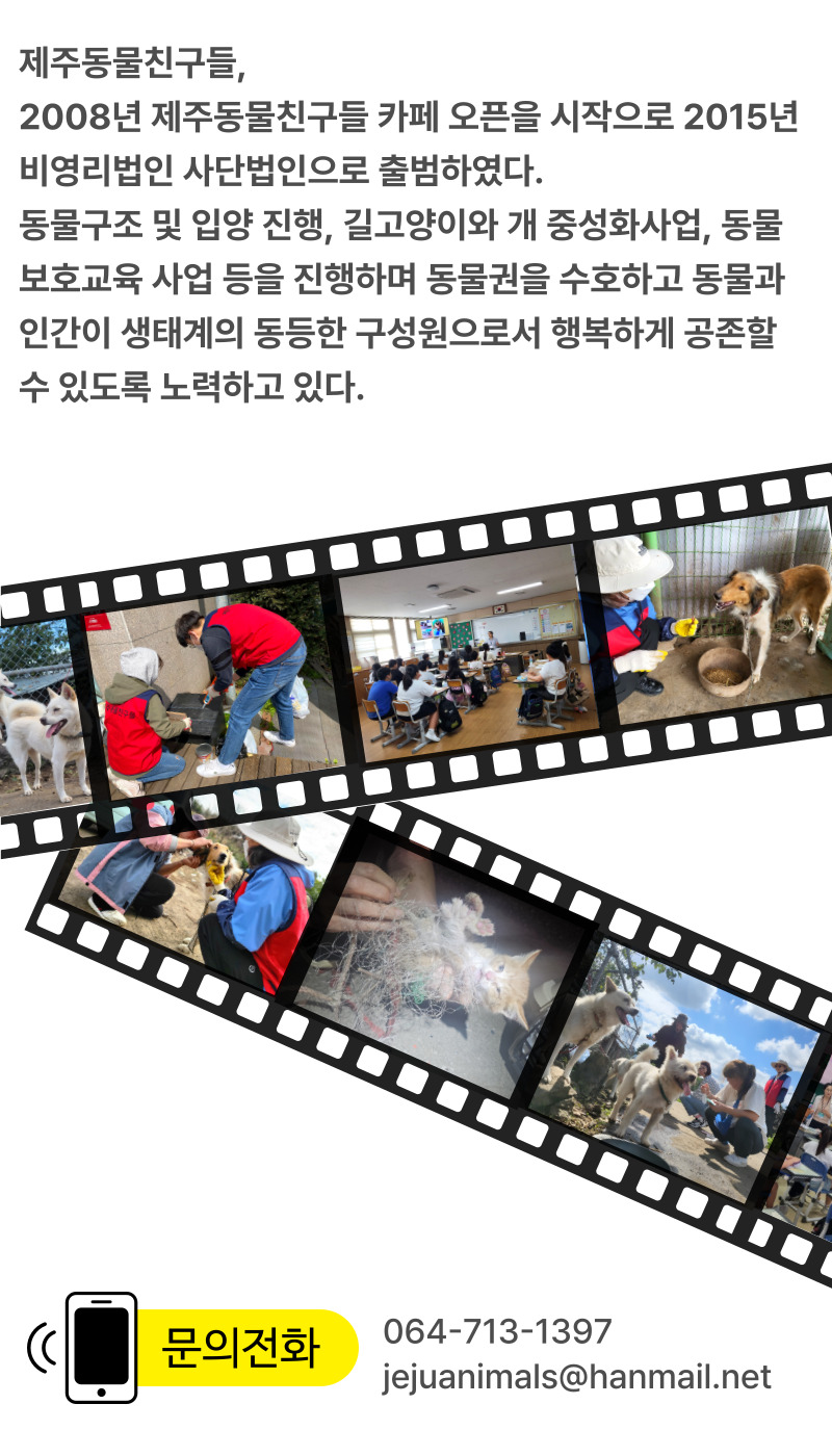 800px 이미지